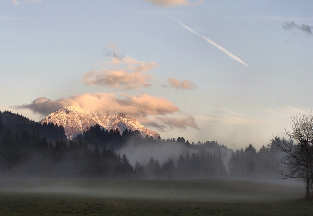 Bodennebel