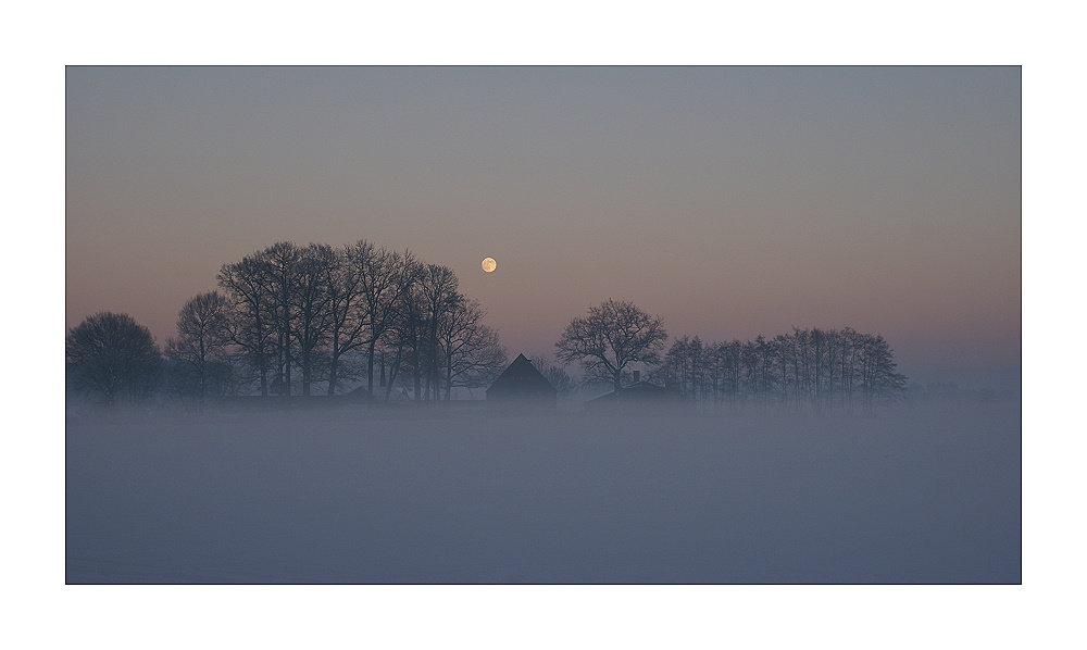 Bodennebel