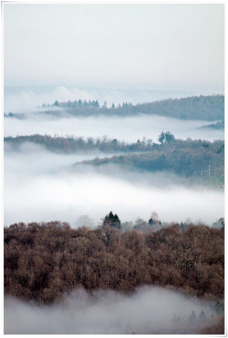 Bodennebel