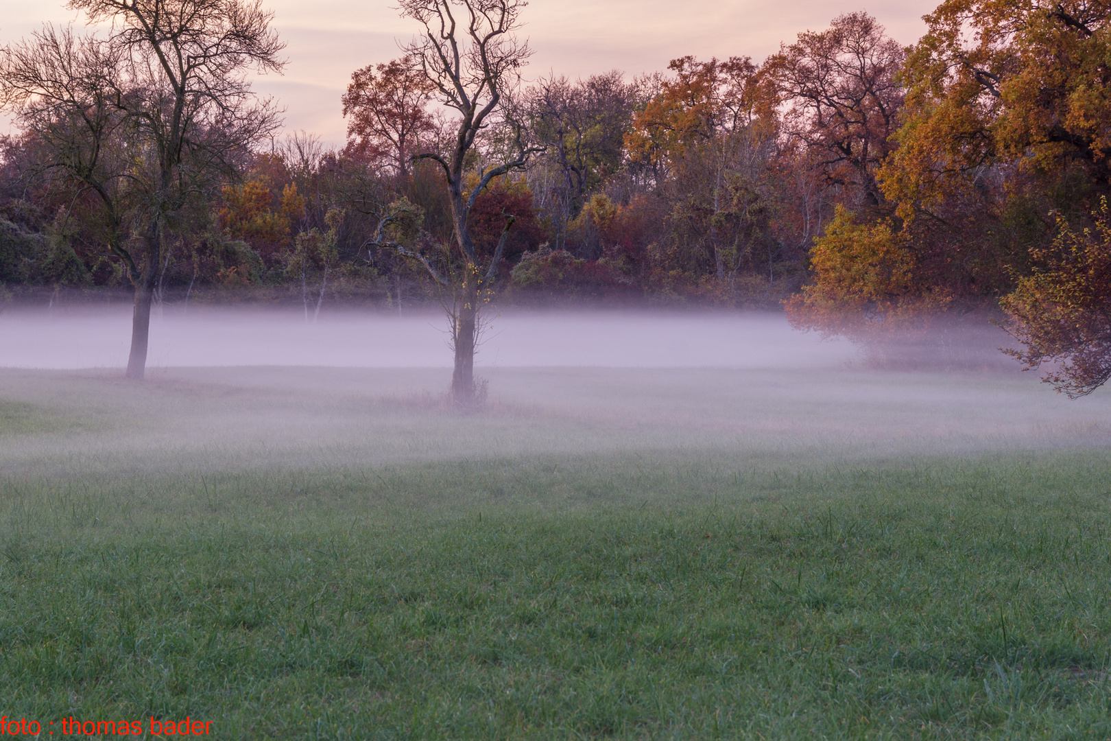 Bodennebel...