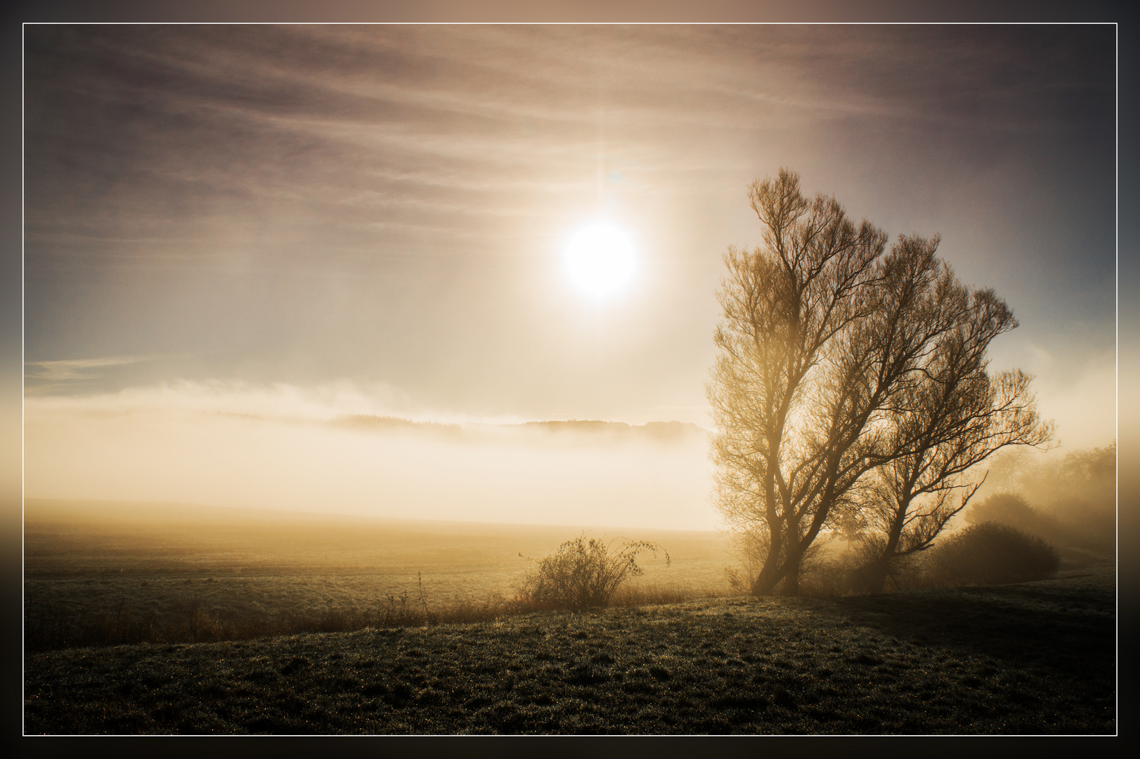 Bodennebel