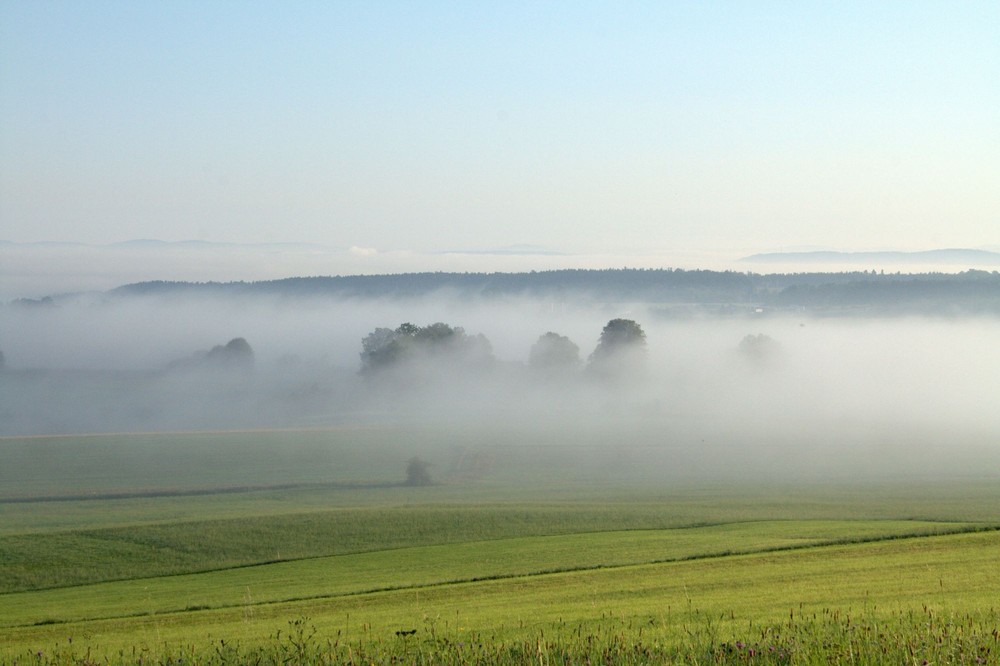 Bodennebel