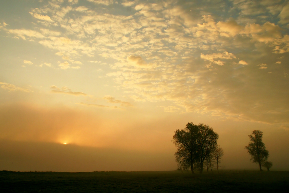 Bodennebel