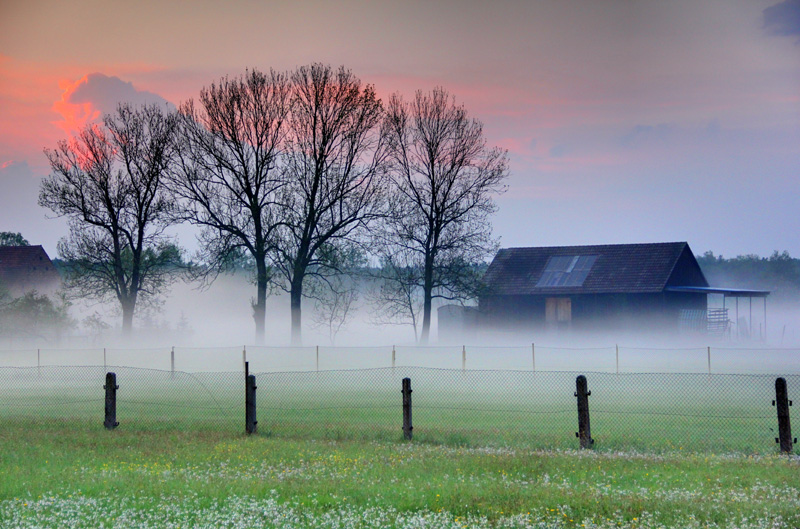 Bodennebel