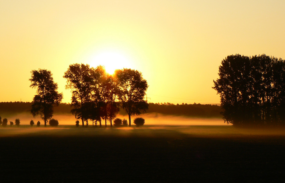 Bodennebel