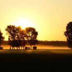 Bodennebel