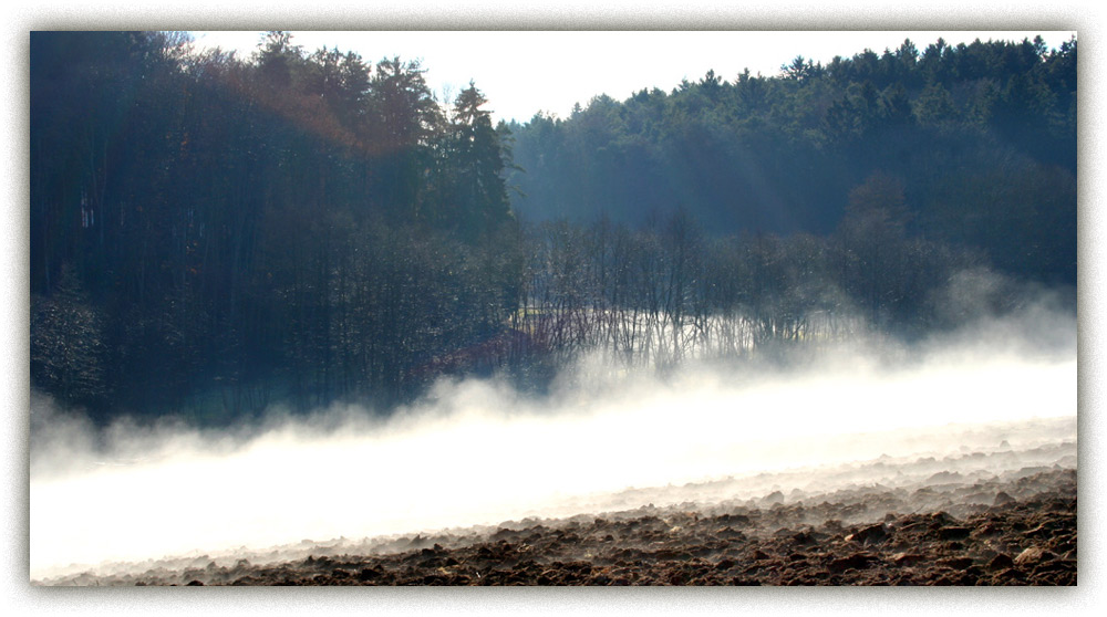 Bodennebel