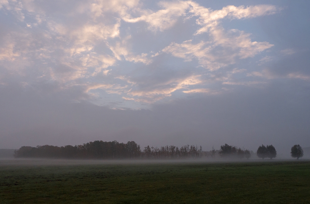 Bodennebel