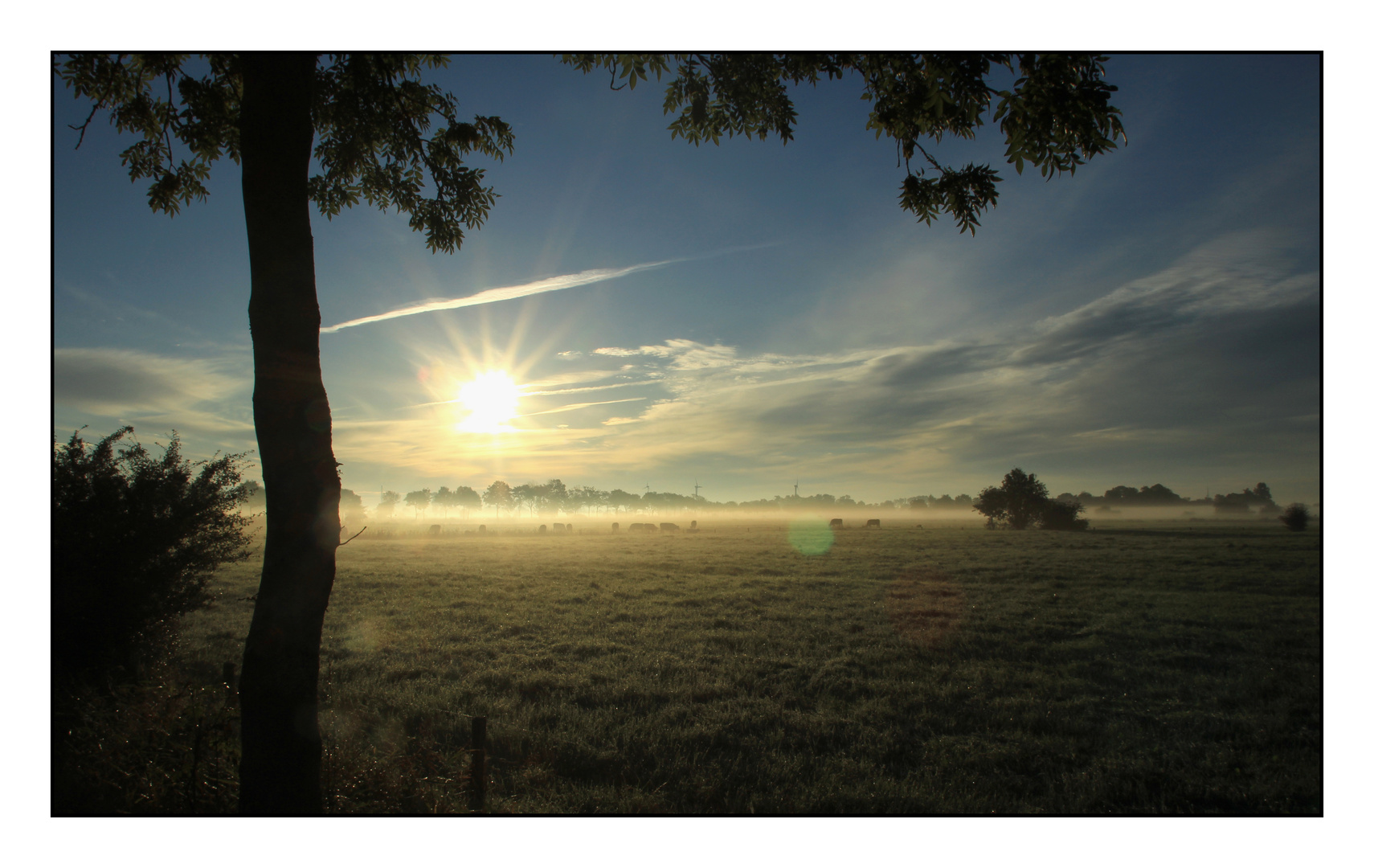 Bodennebel