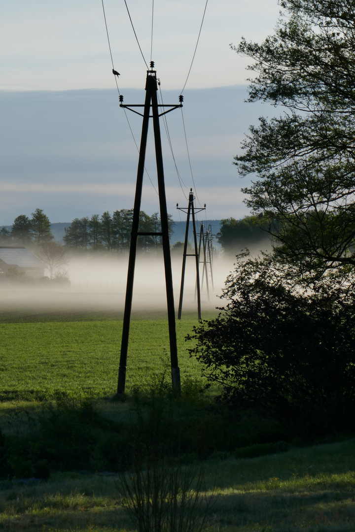 Bodennebel