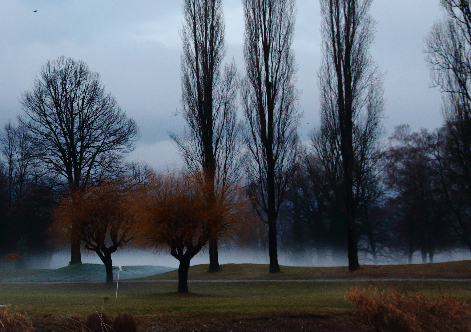 Bodennebel Golfplatz