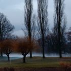 Bodennebel Golfplatz