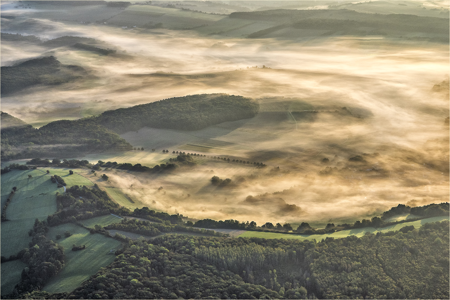 bodennebel im bliestal