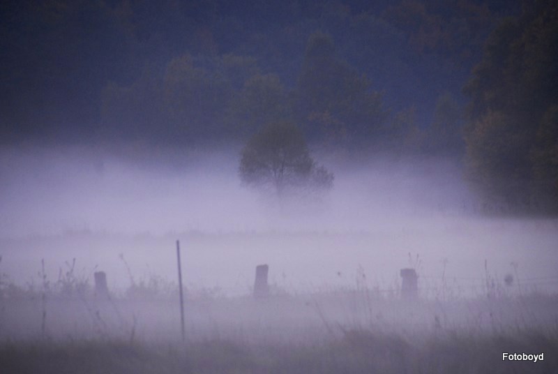 Bodennebel im Hanftal