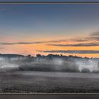 Bodennebel im Herbst