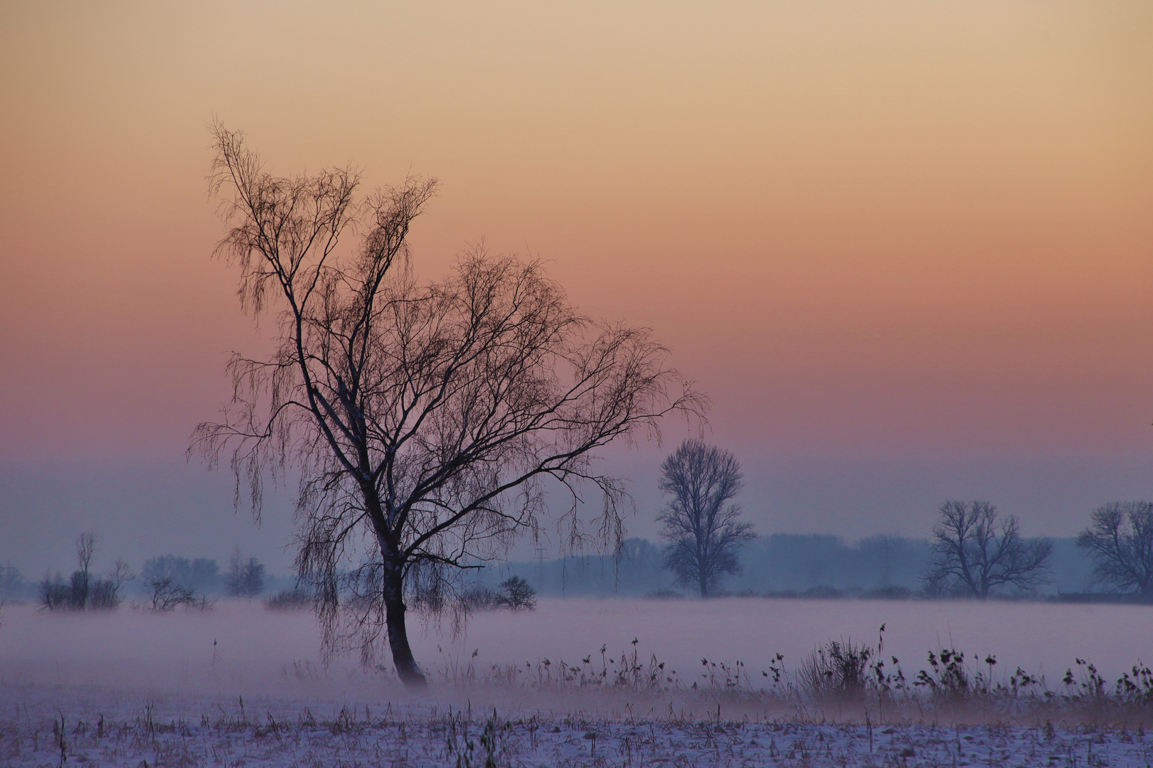 Bodennebel im Isartal