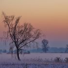 Bodennebel im Isartal