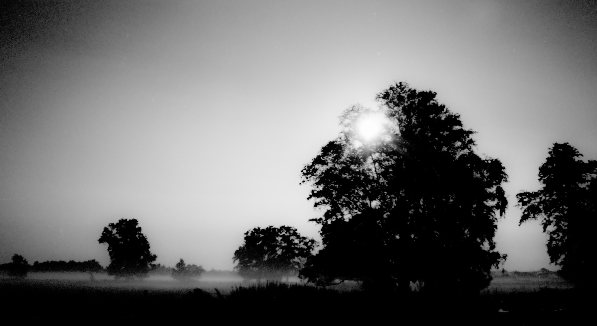 Bodennebel im Mondschein (analog)