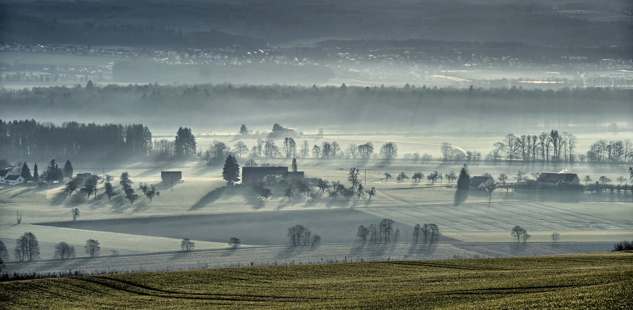 Bodennebel im Schussental