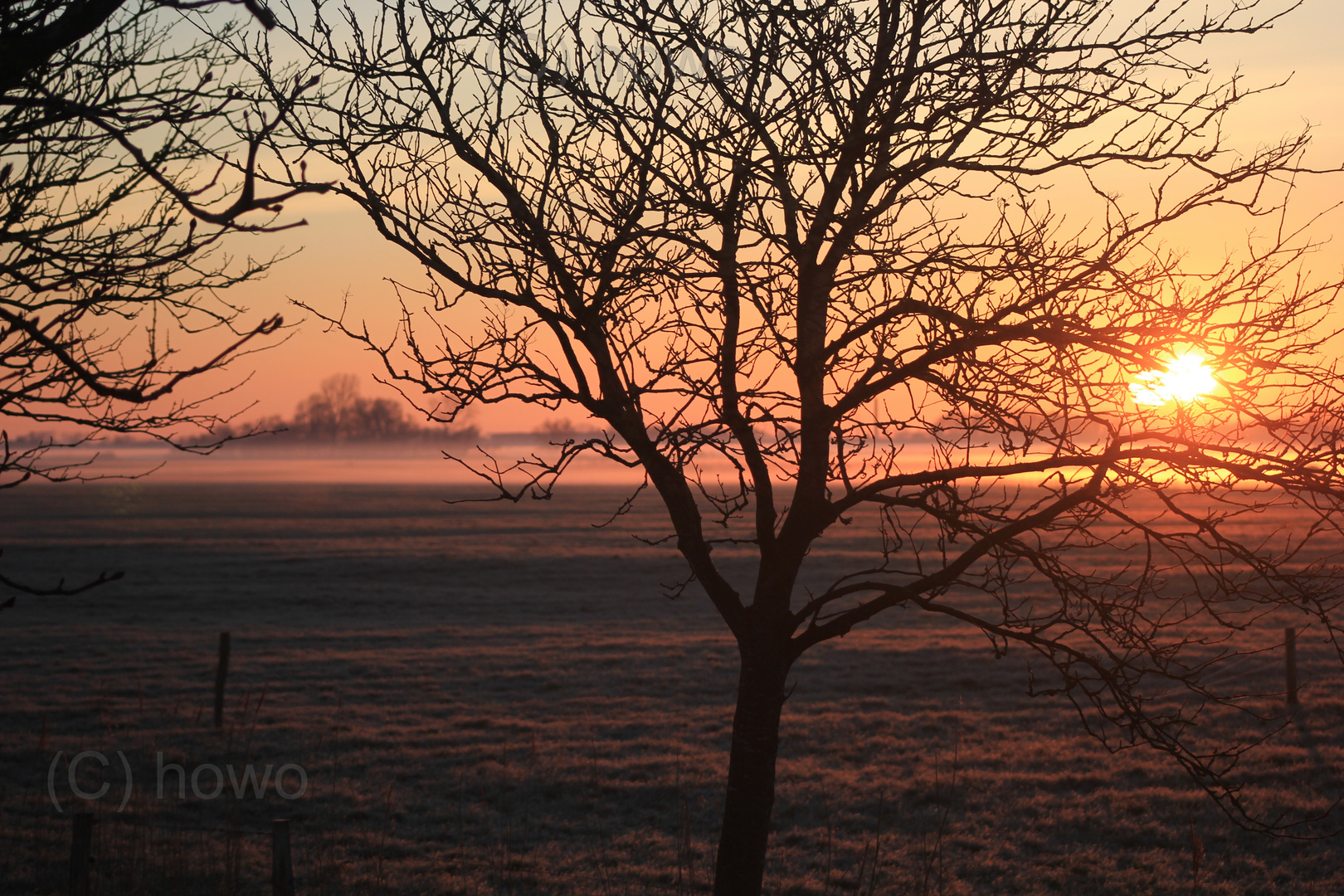 Bodennebel im Sonnenaufgang