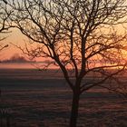 Bodennebel im Sonnenaufgang