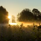 ** Bodennebel im Sonnenaufgang **