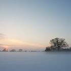 Bodennebel im Winter