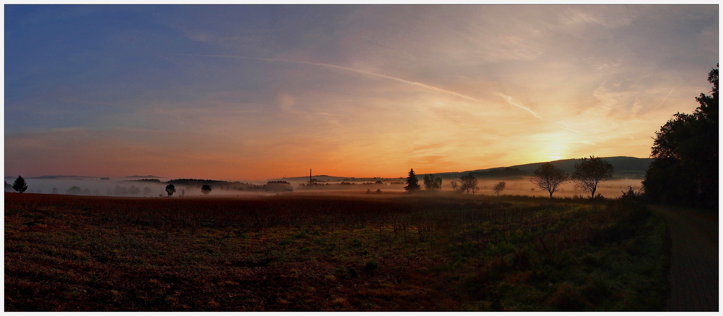 Bodennebel in der Flur