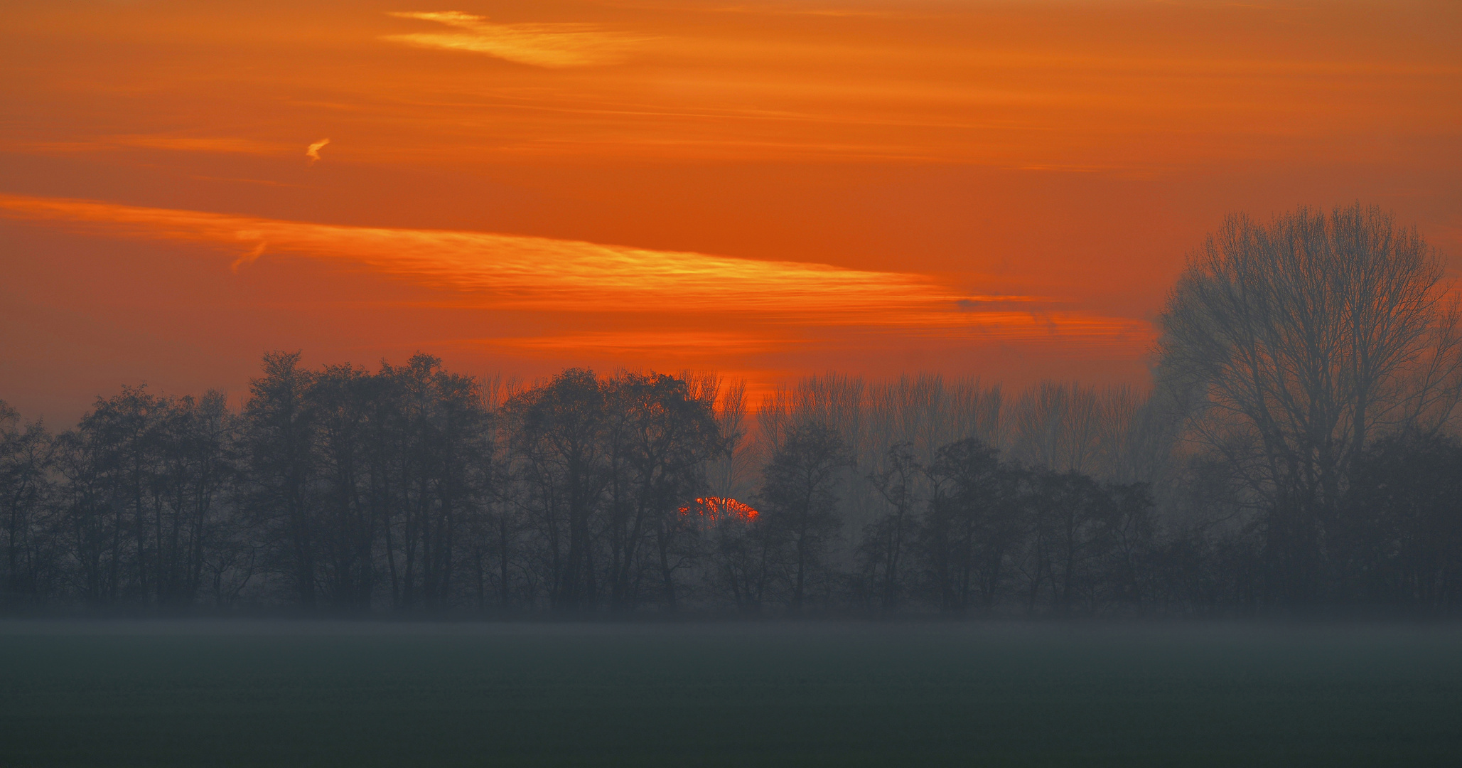 Bodennebel in der Haseldorfer Marsch