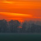 Bodennebel in der Haseldorfer Marsch