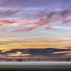 Bodennebel in der Vorstadt