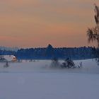 Bodennebel mit Abendsonne