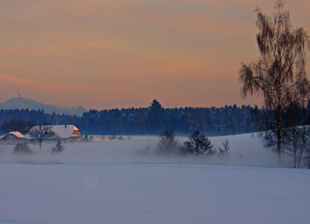 Bodennebel mit Abendsonne