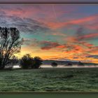 Bodennebel steige auf