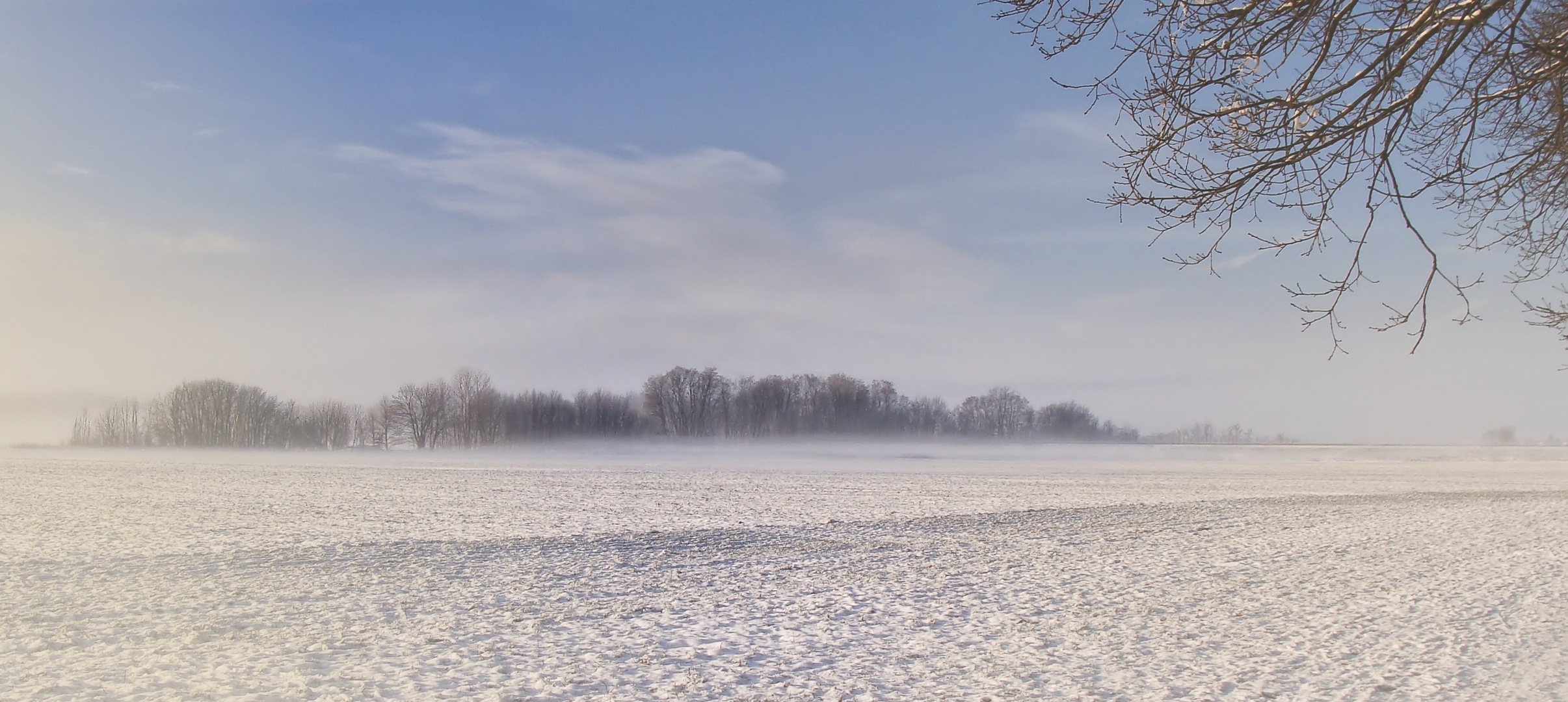  Bodennebel über dem Feld.....