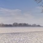  Bodennebel über dem Feld.....