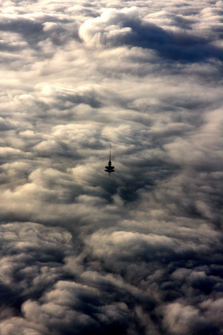 Bodennebel von seiner schönsten Seite