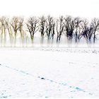 Bodennebel zieht auf