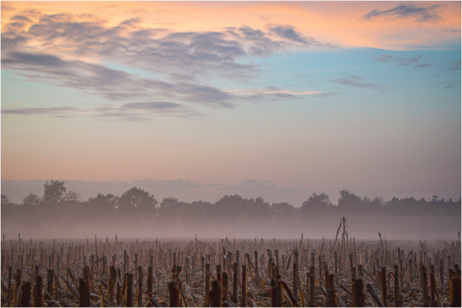 Bodennnebel am Abend