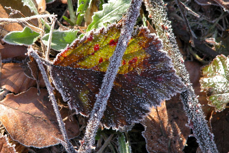 Bodenschätze