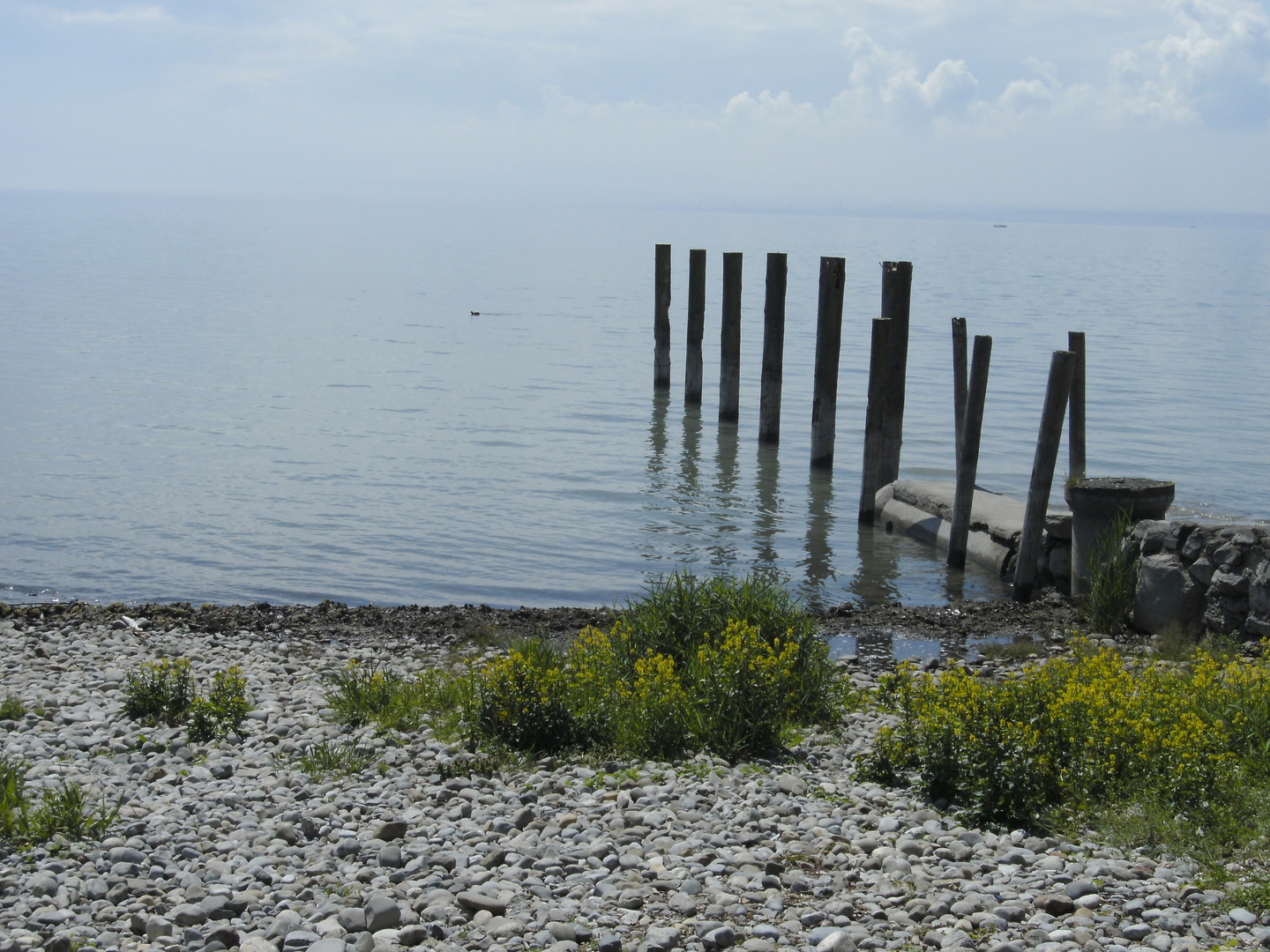 Bodensee