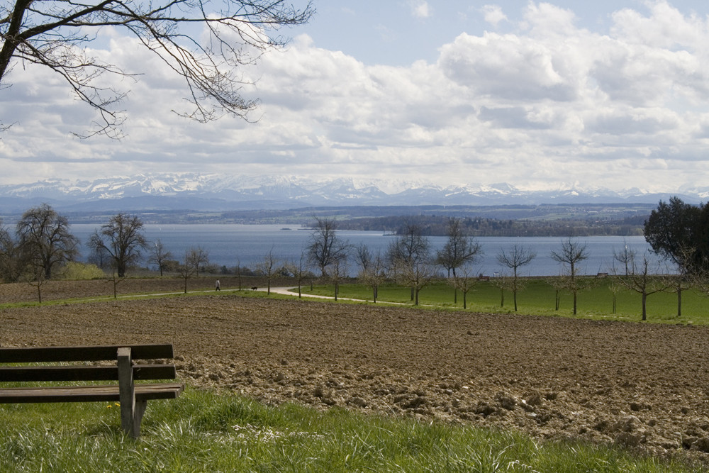 Bodensee