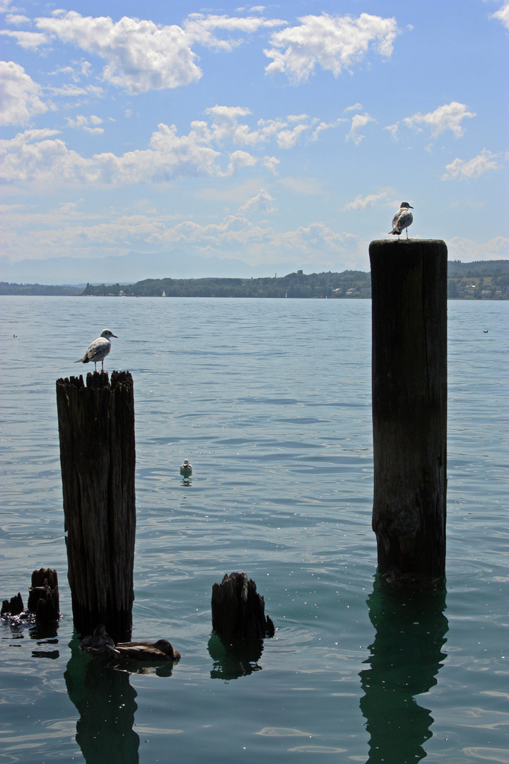 Bodensee