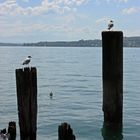 Bodensee