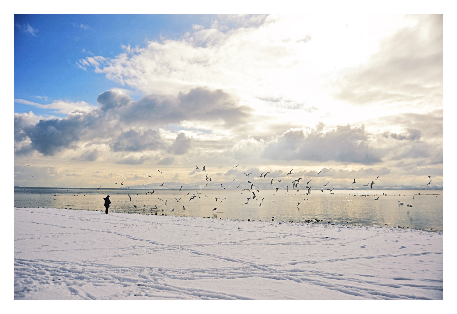 Bodensee