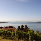 Bodensee (1)