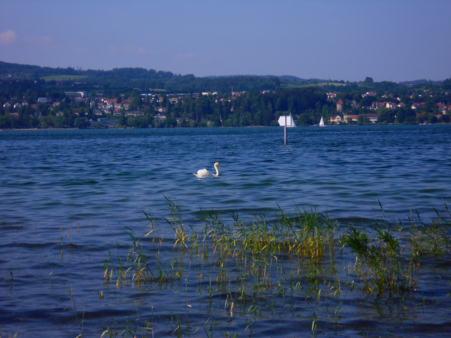 Bodensee