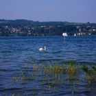 Bodensee