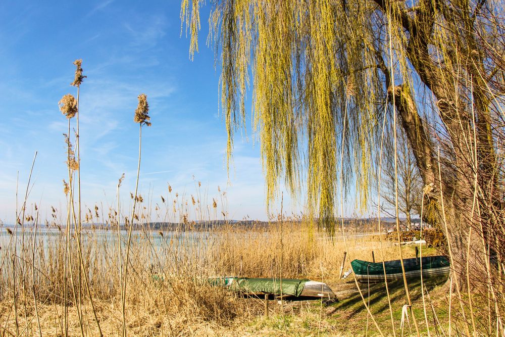 Bodensee