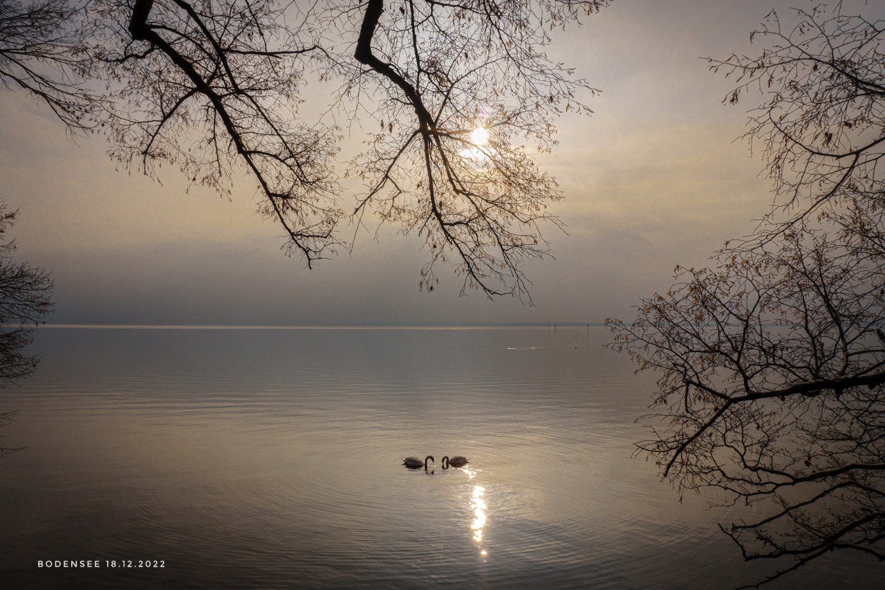 Bodensee 18.12.22